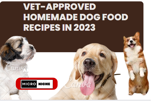 Vet-Approved Homemade Dog Food