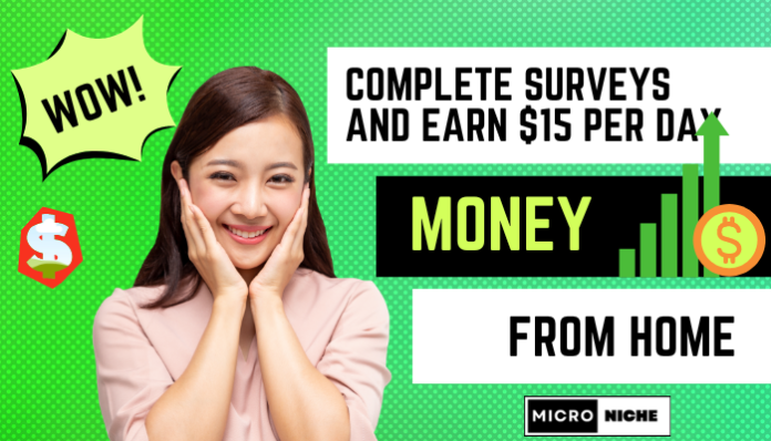 Complete Surveys and Earn $15 Per Day